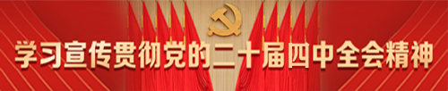 学习宣传贯彻党的二十届四中全会精神